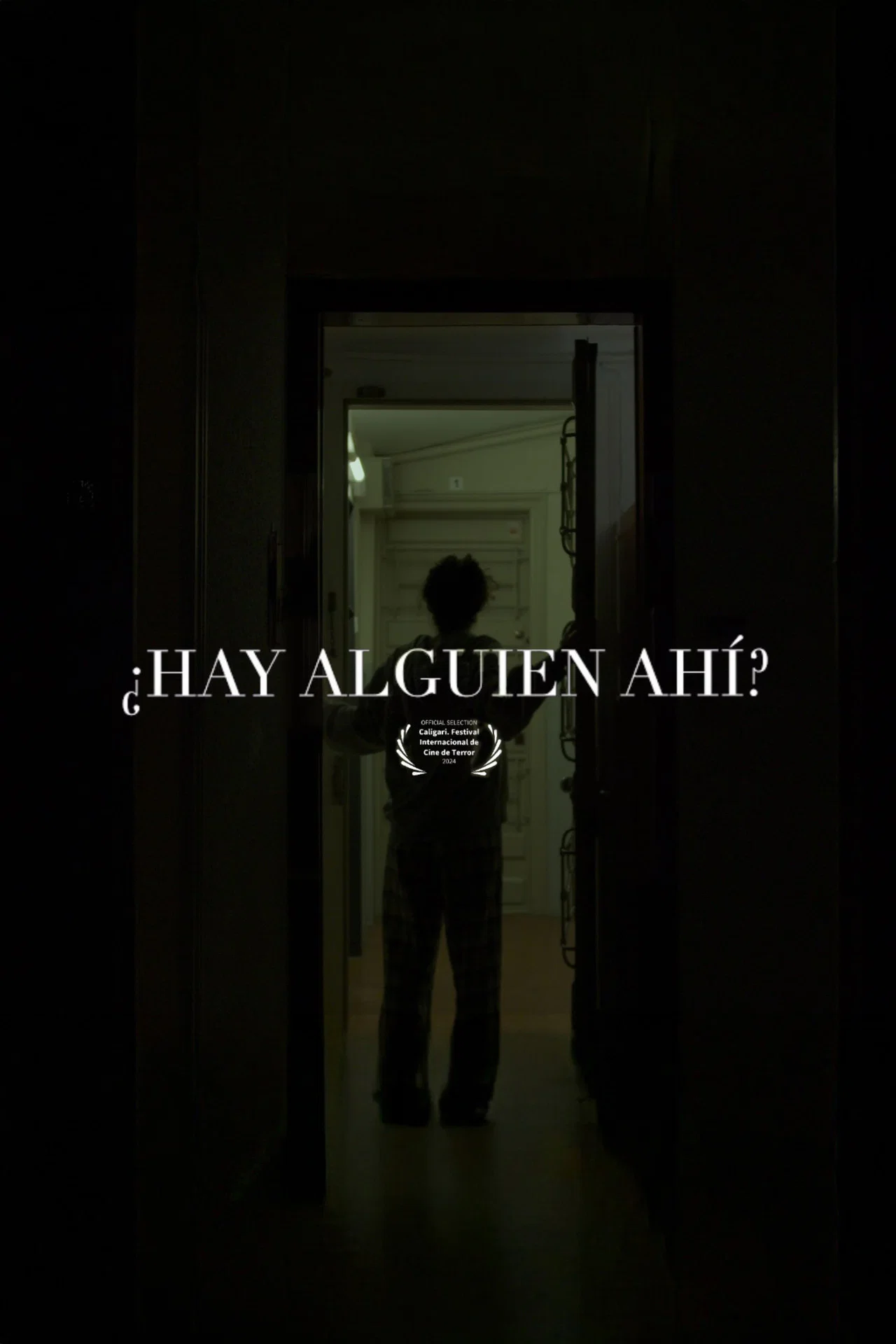 Póster de ¿HAY ALGUIEN AHÍ?